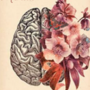 Mental Morphose
