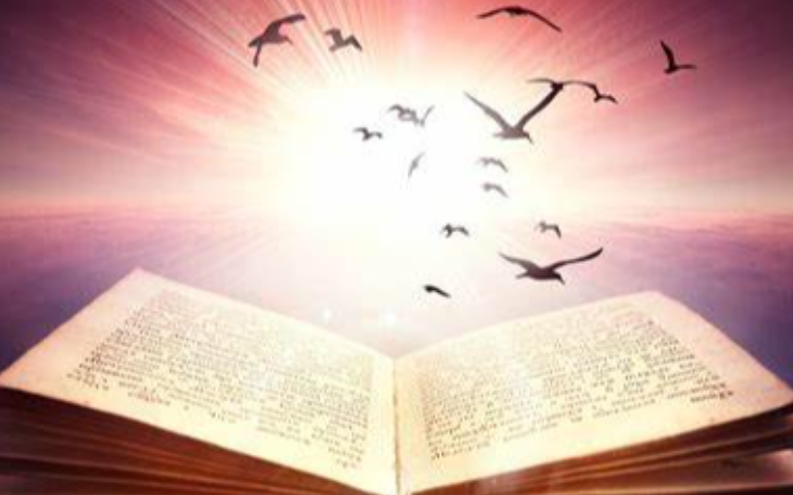 Guidée Par Le Songe : Nouvelles (texte Intégral) / Béatrix Beck